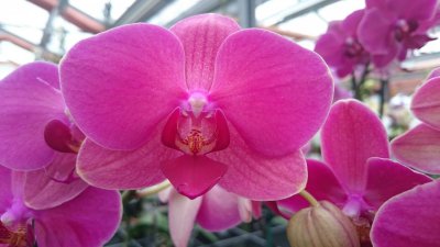 DSC_0001.JPG DSC_0001.JPG