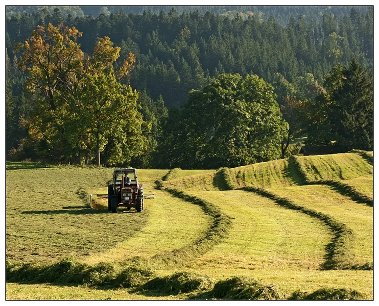 _small_2008-09-28 GaißachDSCN2411.webp