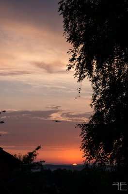 20150707-_IGP3110.jpg