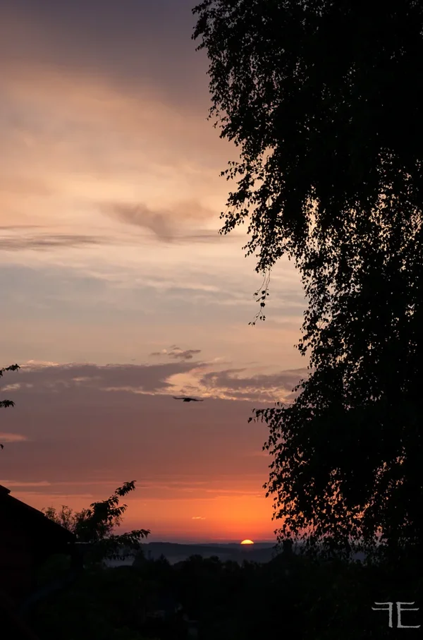 20150707-_IGP3110.webp 20150707-_IGP3110.webp