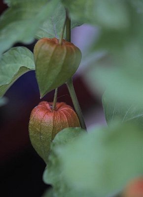 Juco_Test.jpg Juco_Test.jpg