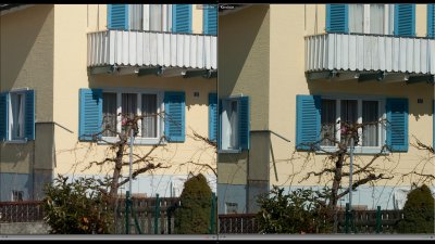 17-50-vs-16-85-bei-30mm-f6.3-100%.jpg 17-50-vs-16-85-bei-30mm-f6.3-100%.jpg