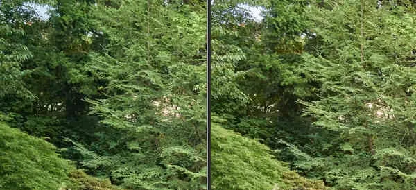 Vergleich-Lee.webp