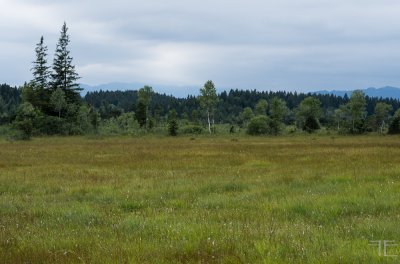 20150728-_IGP4570.jpg 20150728-_IGP4570.jpg