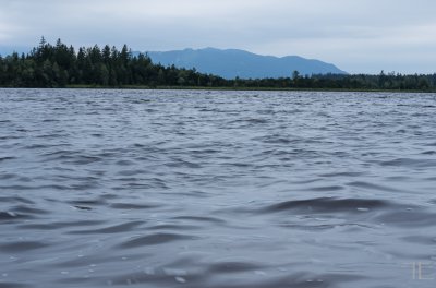 20150728-_IGP4594.jpg 20150728-_IGP4594.jpg