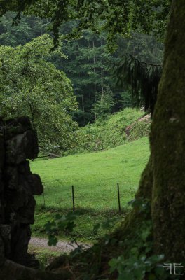 20150729-_IGP4629.jpg 20150729-_IGP4629.jpg