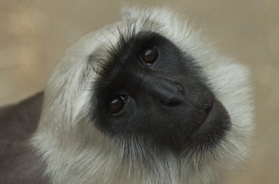 IMGP1090.jpg