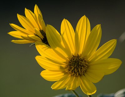 comp_IMGP3309-3 Kopie.jpg