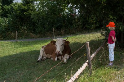 20150811-_IGP4903.jpg 20150811-_IGP4903.jpg