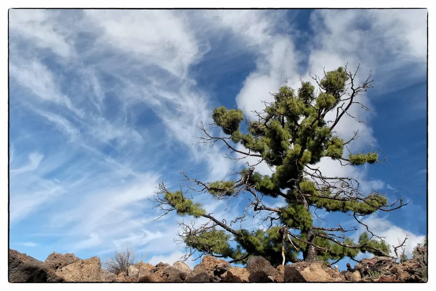 Teneriffa.webp Teneriffa.webp