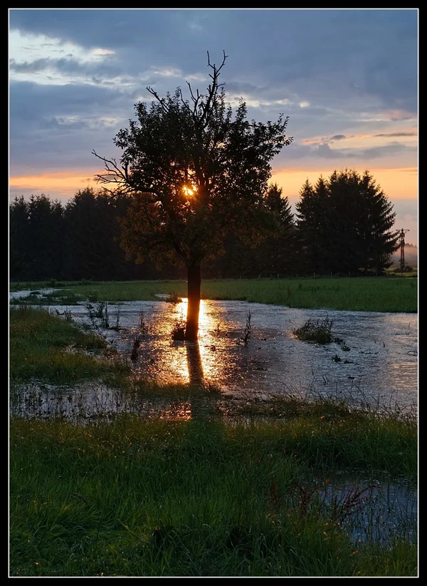 _small_07 Bairawies-Hochwasser.webp _small_07 Bairawies-Hochwasser.webp