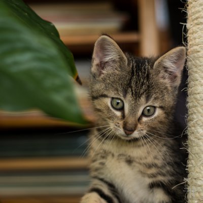 20150915-_IGP5482.jpg