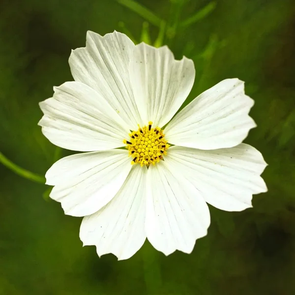 _small__IGP7155_DxO_DxO.webp