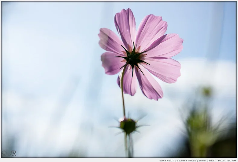 Allerlei_20150920_020.webp