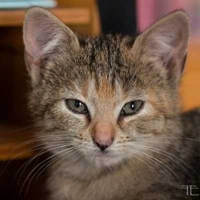 20150920-_IGP5537.jpg