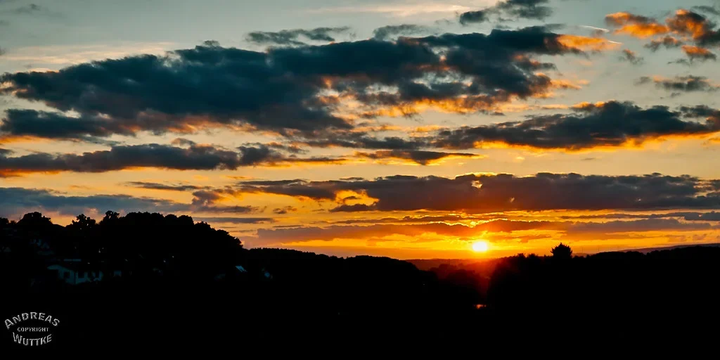 BILD1030 1.webp