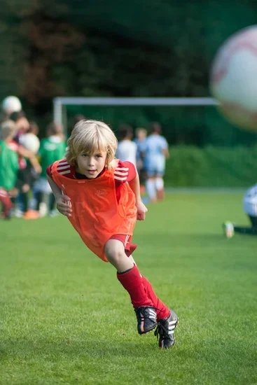 comp_1D_N6597.webp