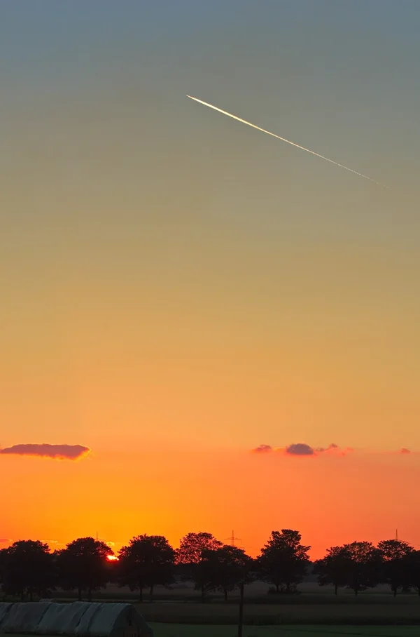 K5IM5376.webp