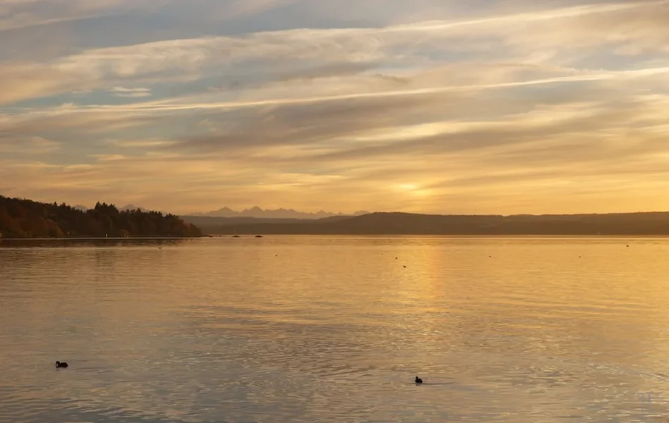IMGP3016.webp