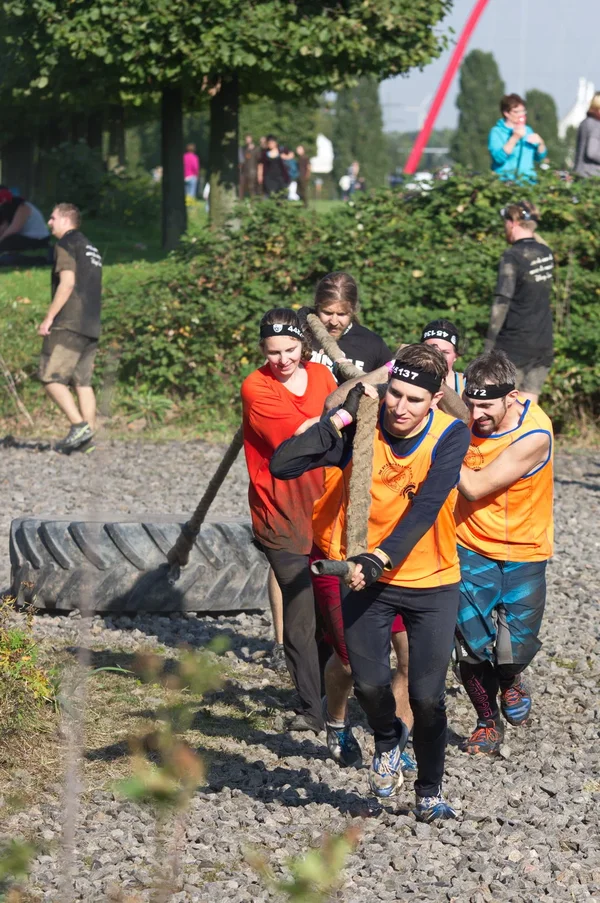 K3IM1512.webp