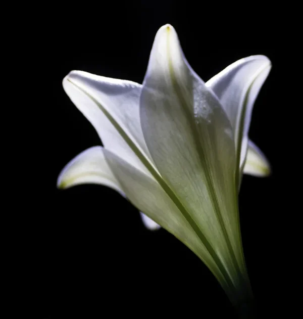 _small__IGP7230_DxO.webp
