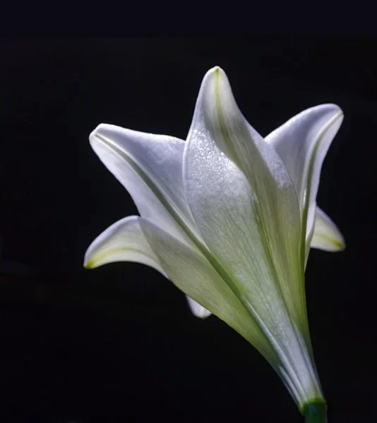 _small__IGP7224_DxO.webp