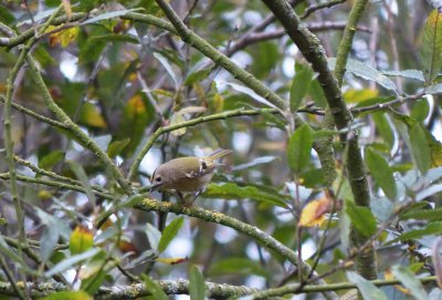 P1030914.JPG P1030914.JPG