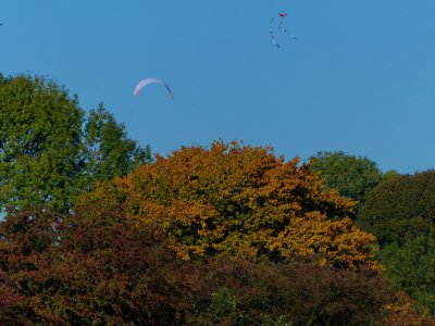 HERBST_I.jpg