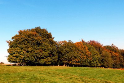 HERBST.jpg