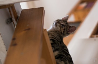 20151009-_IGP5816.jpg