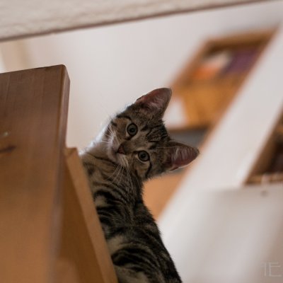 20151009-_IGP5818.jpg