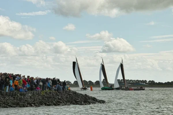 Regatta-klein.webp