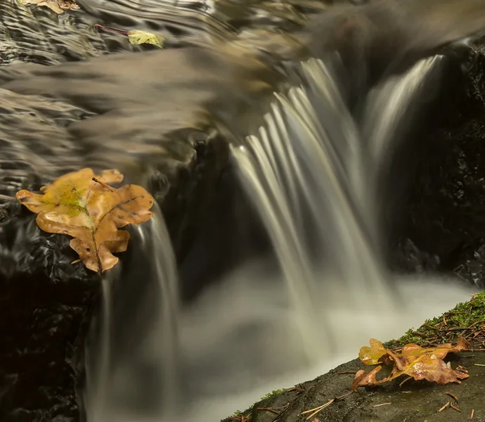 ci_SAM_4644.webp ci_SAM_4644.webp