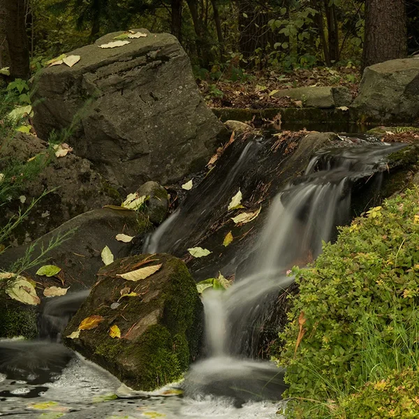 ci_SAM_4652.webp ci_SAM_4652.webp