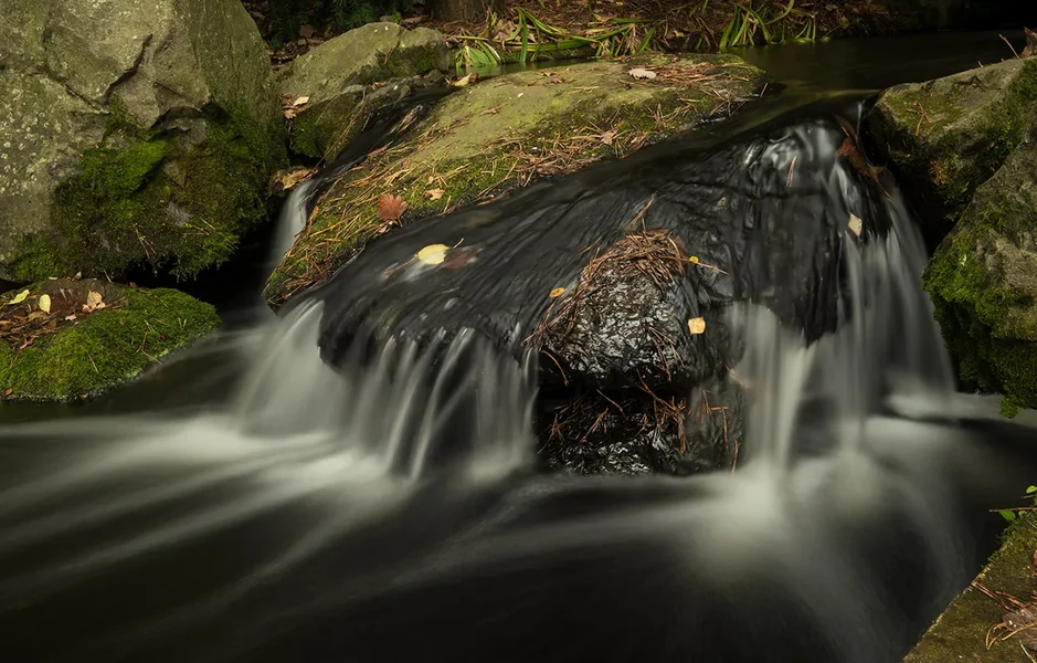 ci_SAM_4663.webp ci_SAM_4663.webp
