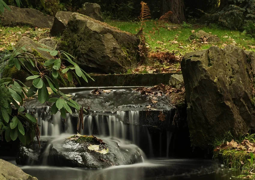ci_SAM_4673.webp ci_SAM_4673.webp