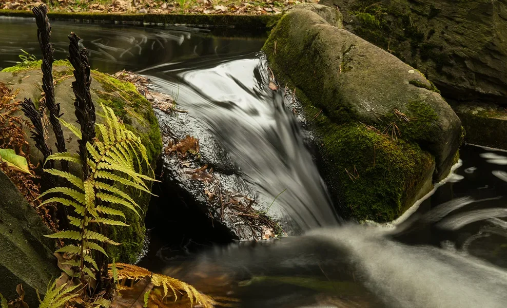ci_SAM_4679.webp ci_SAM_4679.webp