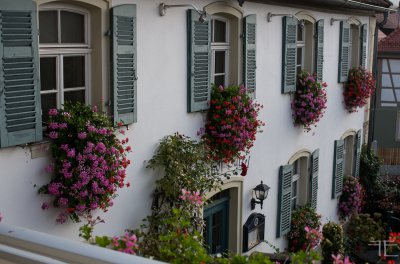 20151022-_IGP5969.jpg 20151022-_IGP5969.jpg