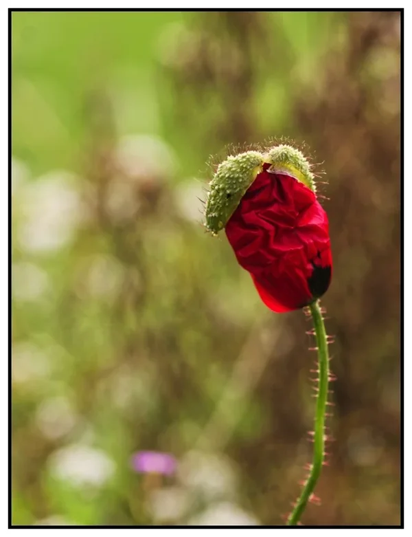 _small__IGP7359_DxO.webp