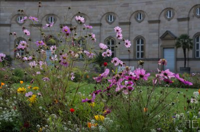 20151022-_IGP5992.jpg 20151022-_IGP5992.jpg