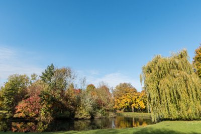 Herbst im Beller Mühle Park_2.jpg