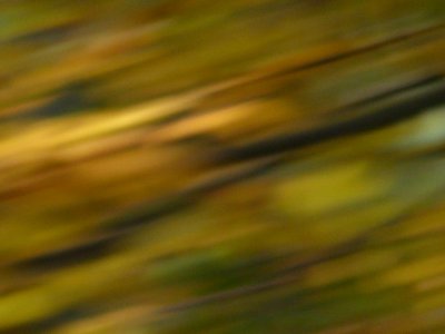 HERBST_Farb.JPG