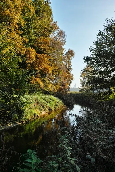 Berkelaue_neu-klein.webp Berkelaue_neu-klein.webp