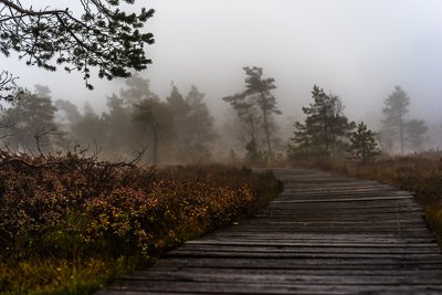 DSC03517.jpg DSC03517.jpg