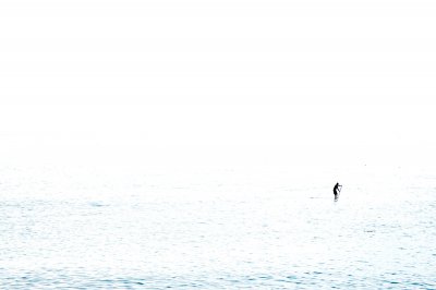2015_Madeira_626_01.jpg
