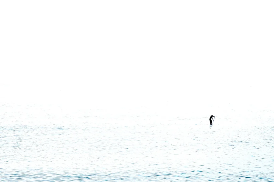 2015_Madeira_626_01.webp