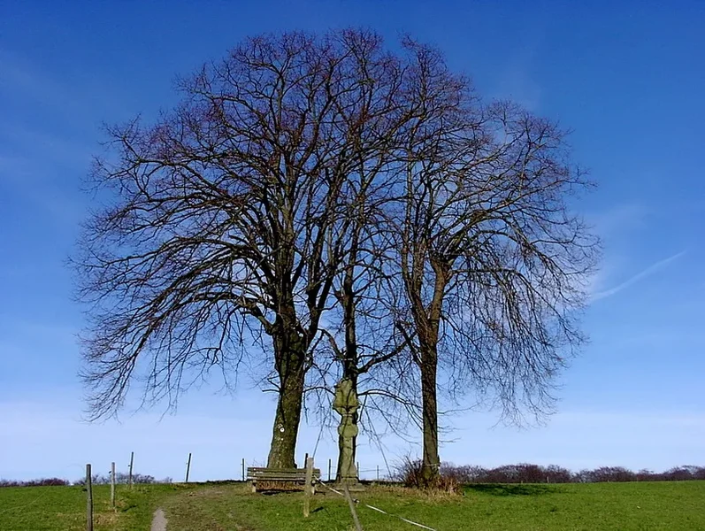 Frühjahr_kl.webp Frühjahr_kl.webp