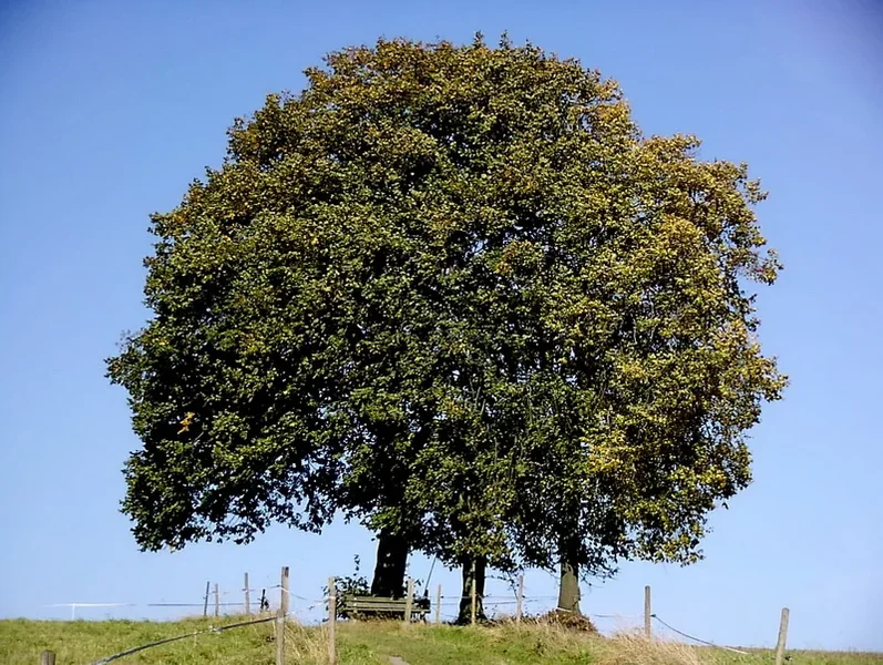 APR_Herbst_kl.webp APR_Herbst_kl.webp