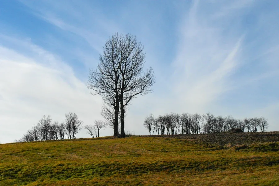 ci_SAM_2620.webp ci_SAM_2620.webp