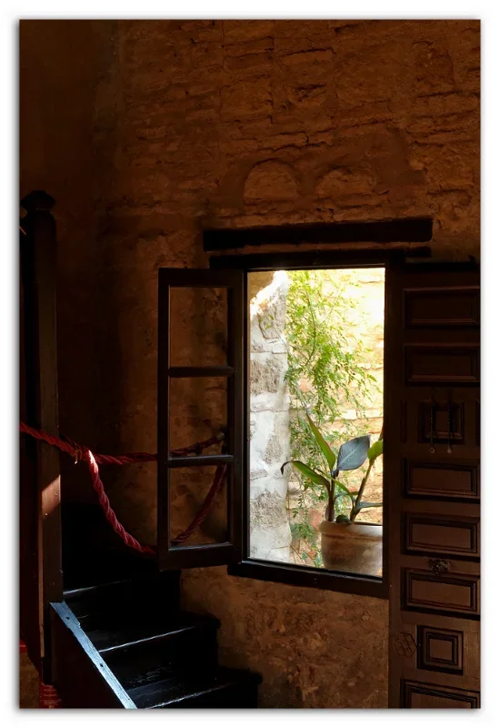 Fenster.webp